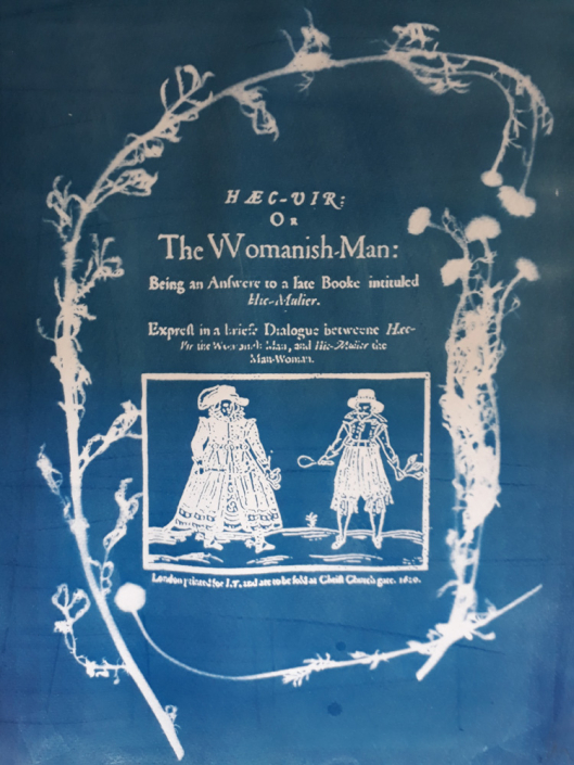 Cyanotype Print of C18th.print & wild flowers