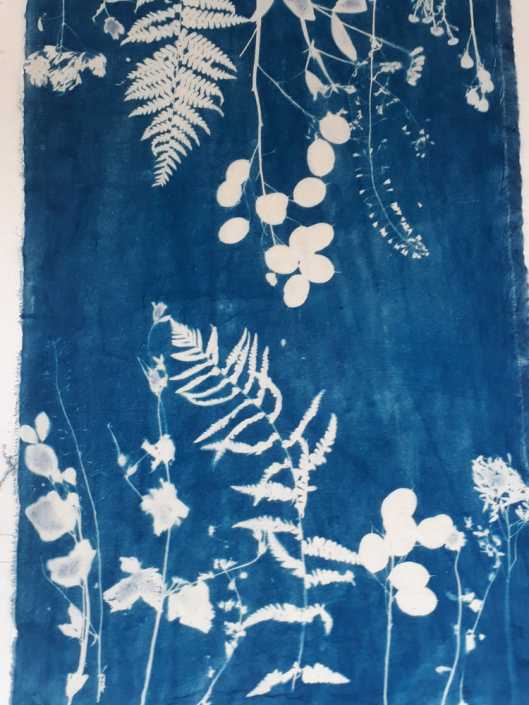 Cyanotype Print & wild flowers