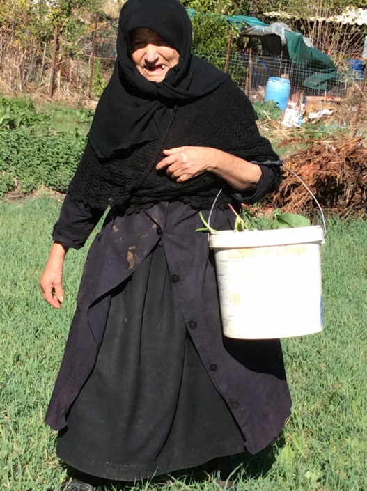 Local women picking spinach. Over dress opened to reveal under dress. Traditional shawl and wear of headscarf.